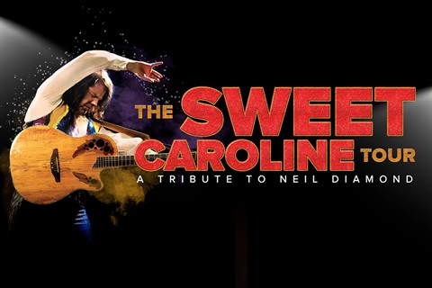 Sweet Caroline performance image