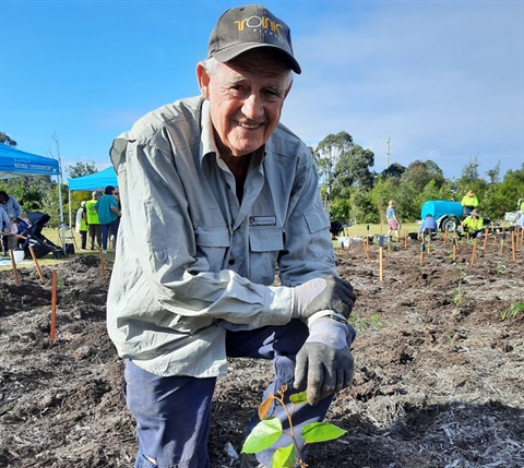 Tree_planting.jpg