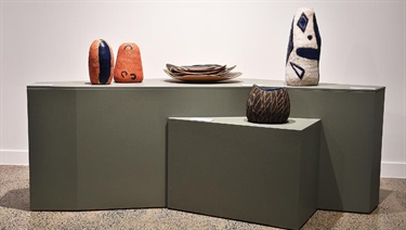 Installation: 'Kunmanara Carroll: Ngaylu Nyanganyi Ngura Winki'. Photo: Alistair Brightman.