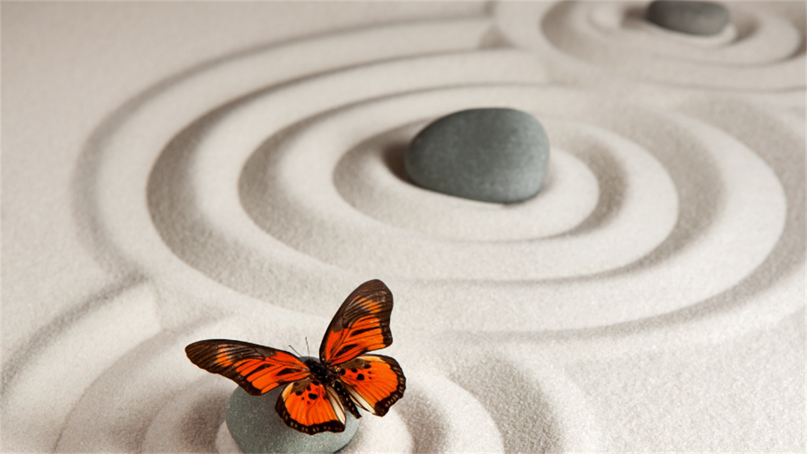 Rocks in sand with butterfly Rocks in sand with butterfly