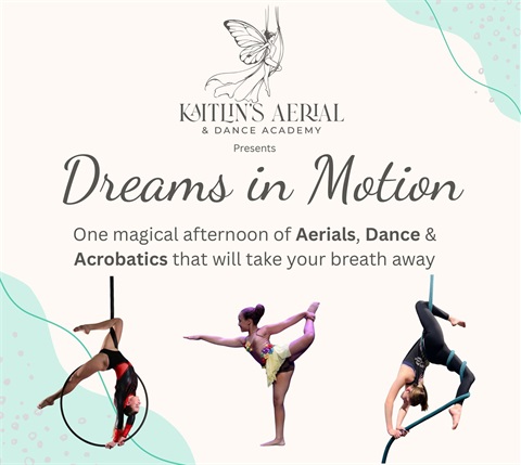 Kaitlins Aerial Poster