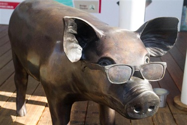 The Inspector of Nuisances 