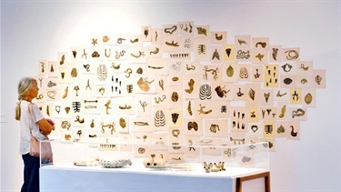 Installation view: 'Angela Valamanesh: About Being Here'. Photo: Alistair Brightman.