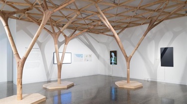 Forest to Fibre Installation view_Natasha Harth