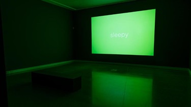 Picturing the End Installation View