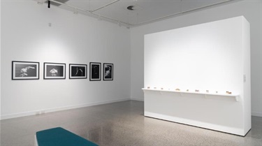 HBRG_Regional-Spotlight_installation-view_20250531_nharth_011_web