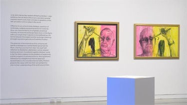 Hervey_Bay_Wilhelmus_Breikers_installation_view_20240302_nharth_049_web.jpg