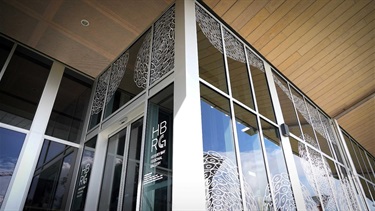 Zartisha Davis Mural project