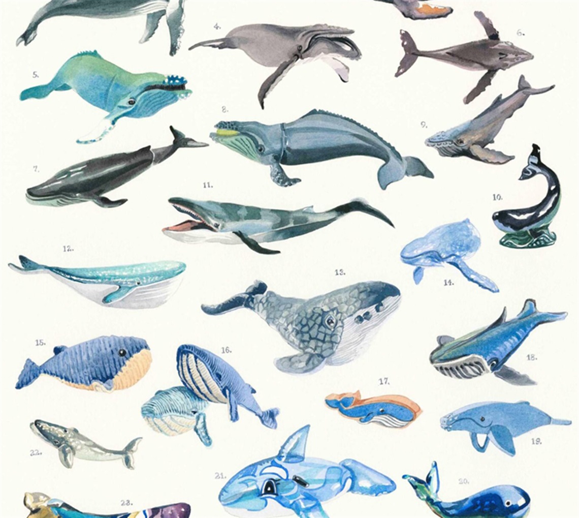 Whale as Object by Deb Mostert