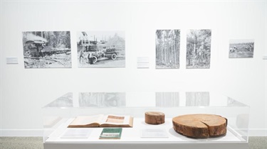Forest to Fibre Installation view_Natasha Harth