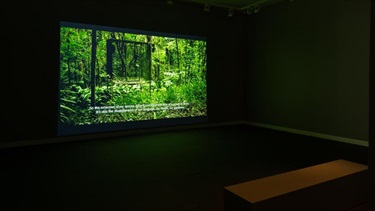 HBRG Strange Kinship Exhibition