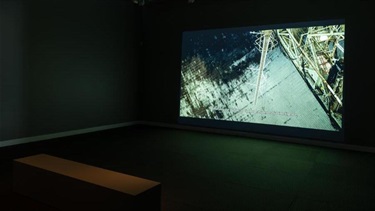 HBRG Strange Kinship Exhibition
