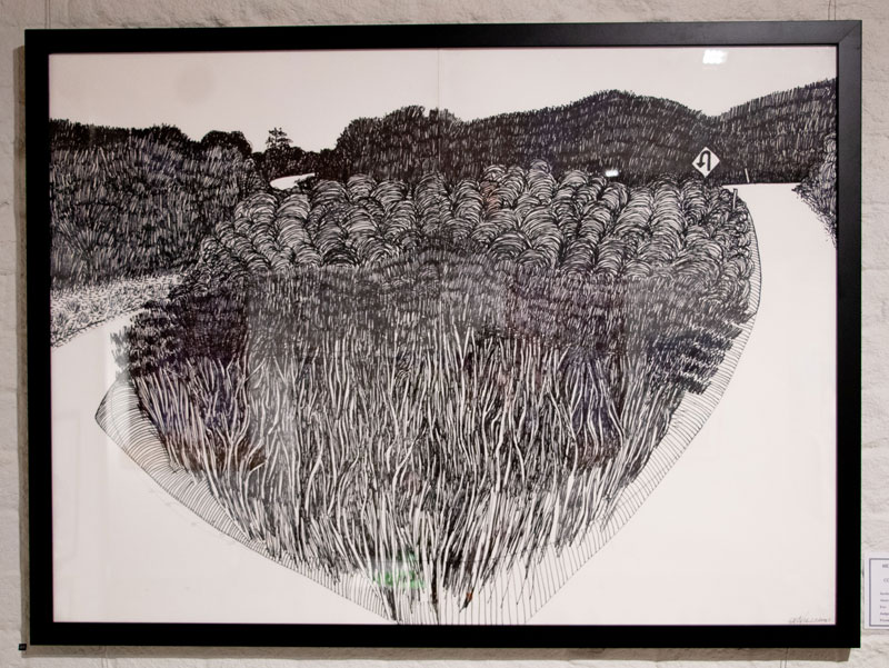 HBAS 2025 - Landscape &amp; Seascape - First Prize - Jo Williams, 'Road to Trial Harbour', Pen &amp; Paper