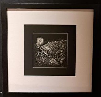 HBAS 2025 - Miniature - Second Prize - Carmel Birchley , 'Hermit Crab', Scraperboard
