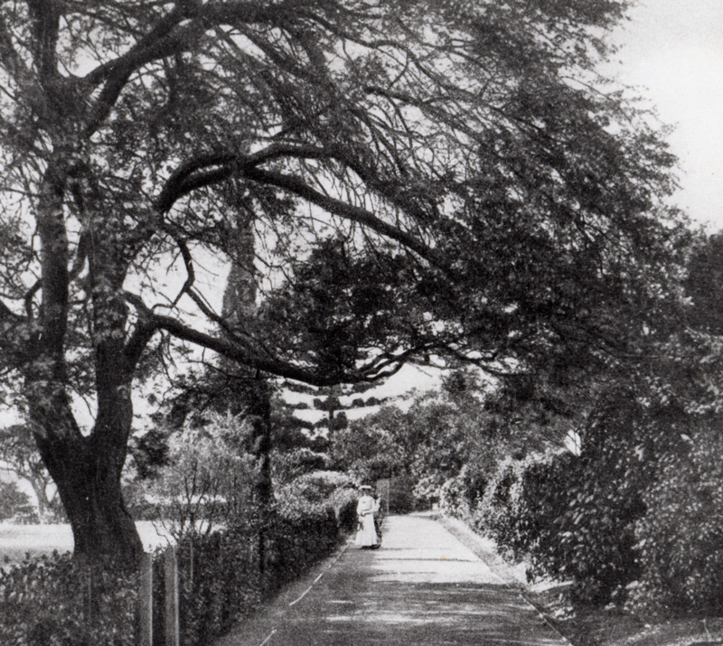 ‘Top Walk’, Queens Park Maryborough, c.1910. Image courtesy of the Maryborough Wide Bay & Burnett Historical Society.