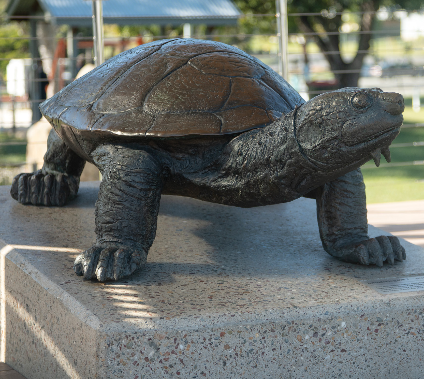 Public artwork by Cezary Stulgis, Mary River Turtle 2011, bronze sculpture.
Fraser Coast Regional Council Public Art Collection. Photo by Hayden Whittle.