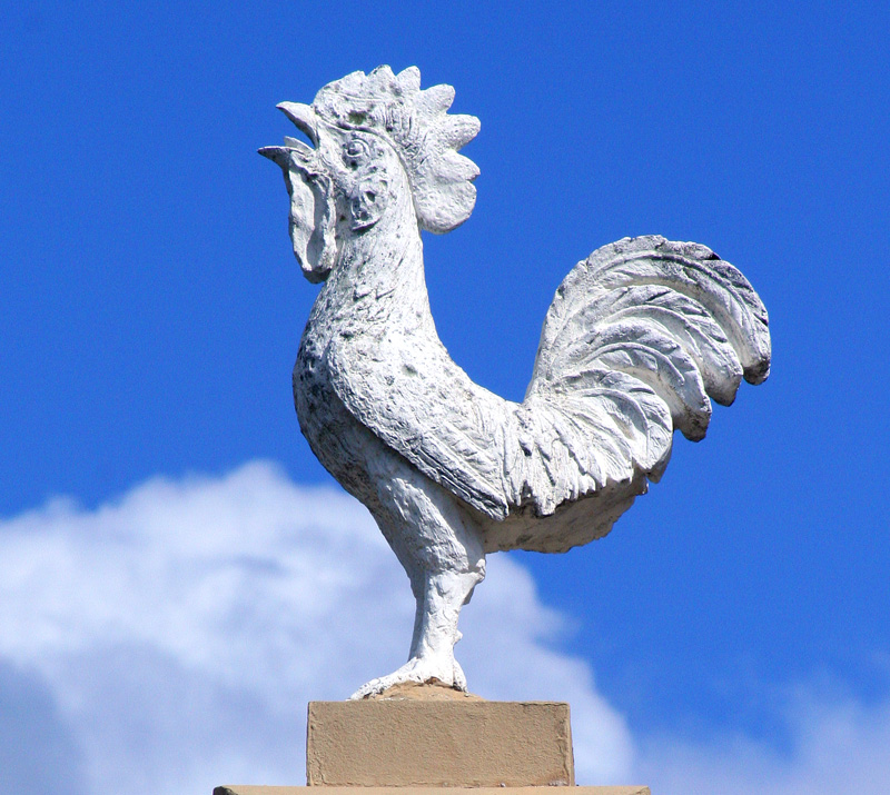 St Mary's Rooster