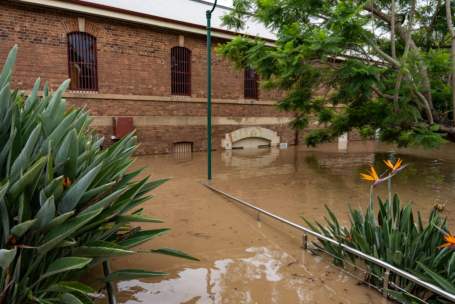 Flood_Maryborough Jan 2022